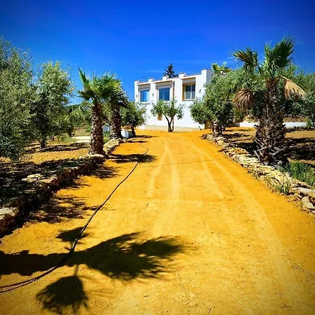 Holiday home Immersa In Oliveto Vista Mare