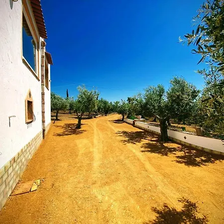 Immersa In Oliveto Vista Mare Holiday home