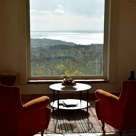 Immersa In Oliveto Vista Mare Holiday home *